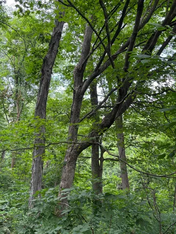 $675,000 | 86-ac County Road S, Gays Mills, WI 54631