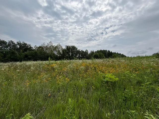 $675,000 | 86-ac County Road S, Gays Mills, WI 54631