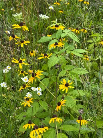 $675,000 | 86-ac County Road S, Gays Mills, WI 54631