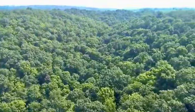 $675,000 | 86-ac County Road S, Gays Mills, WI 54631