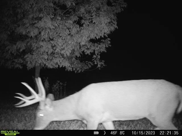 $675,000 | 86-ac County Road S, Gays Mills, WI 54631