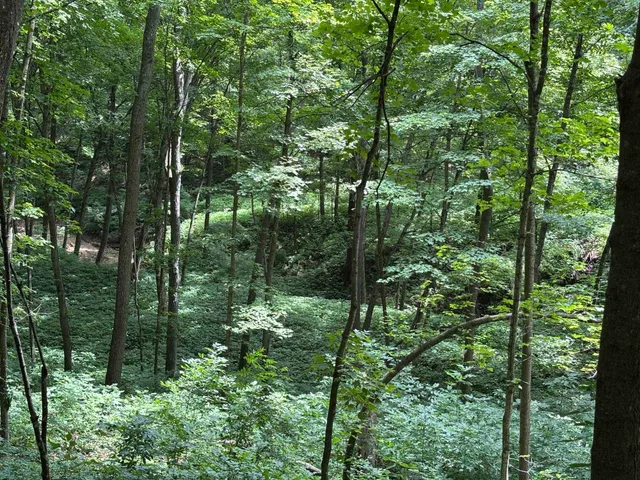 $675,000 | 86-ac County Road S, Gays Mills, WI 54631