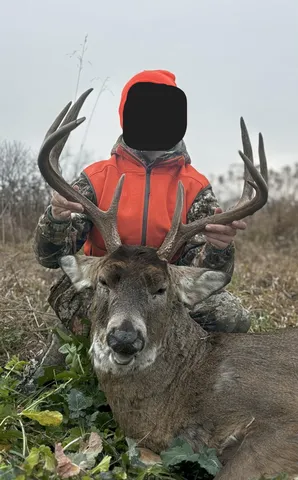 $675,000 | 86-ac County Road S, Gays Mills, WI 54631