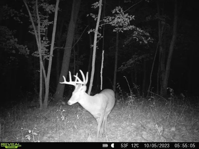 $675,000 | 86-ac County Road S, Gays Mills, WI 54631