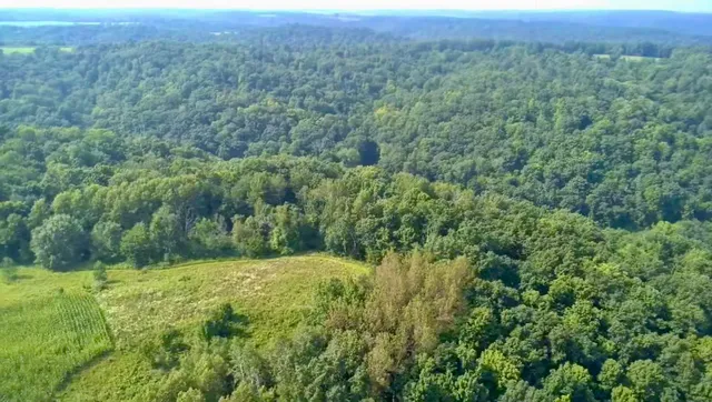 $675,000 | 86-ac County Road S, Gays Mills, WI 54631