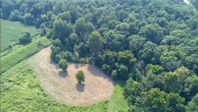 $675,000 | 86-ac County Road S, Gays Mills, WI 54631