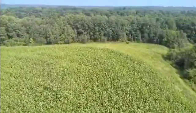 $675,000 | 86-ac County Road S, Gays Mills, WI 54631