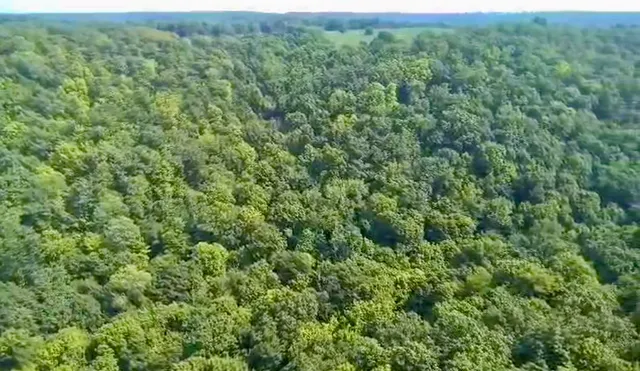 $675,000 | 86-ac County Road S, Gays Mills, WI 54631