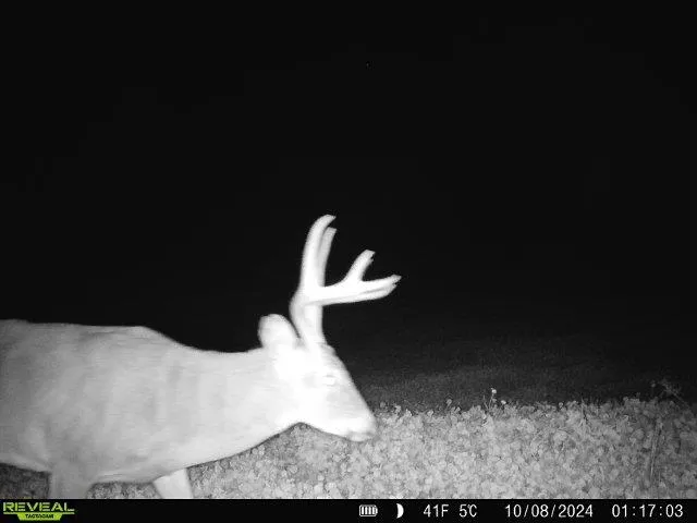 $675,000 | 86-ac County Road S, Gays Mills, WI 54631