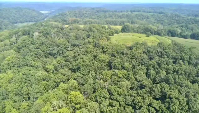 $675,000 | 86-ac County Road S, Gays Mills, WI 54631