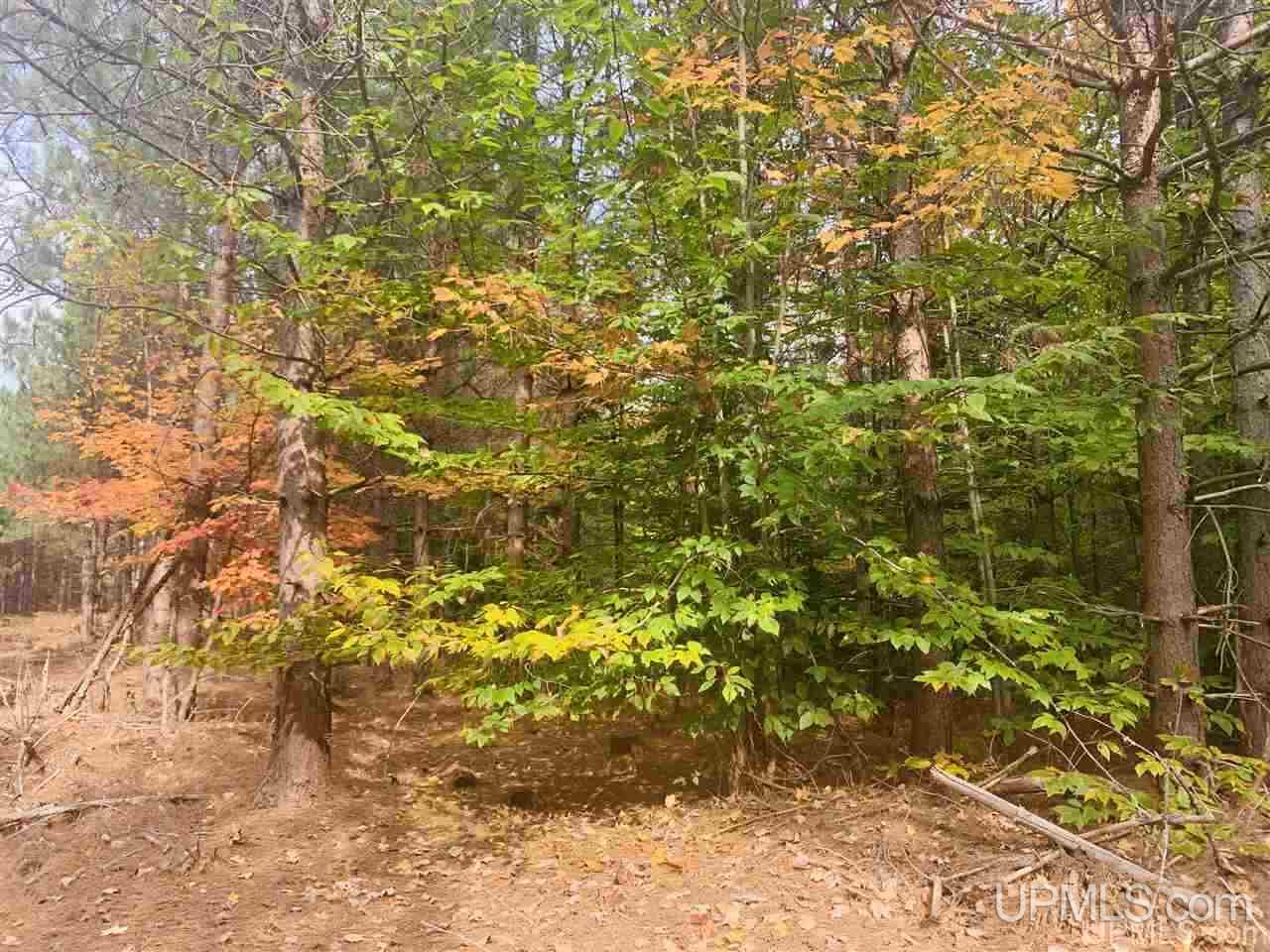 Tbd Off Of Flodin Road Garden, MI 49835 - Photo 4 of 13
