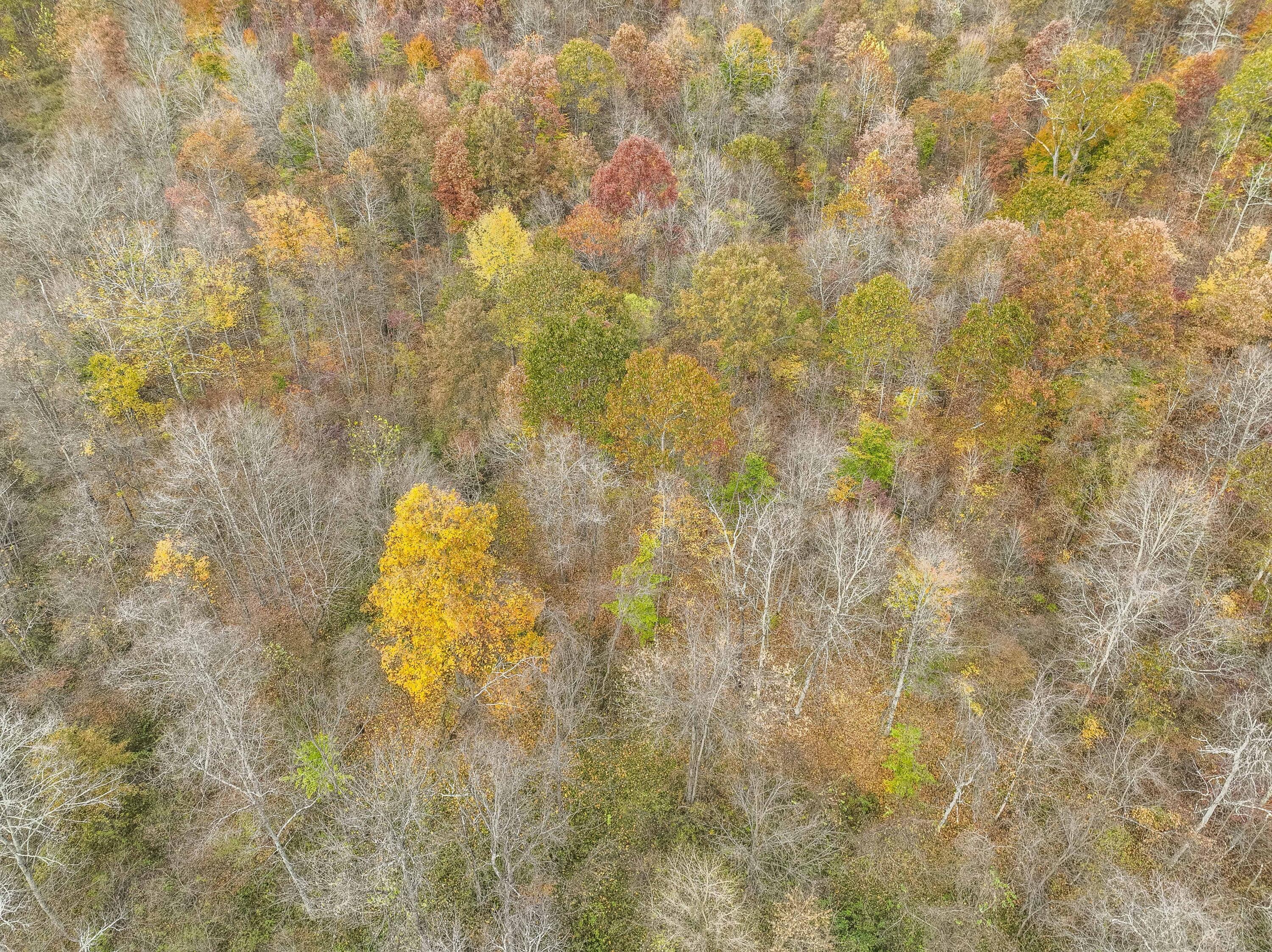 7111 Stoneburner Road Northwest Crooksville, OH 43731 - Photo 9 of 48 DJI_0074