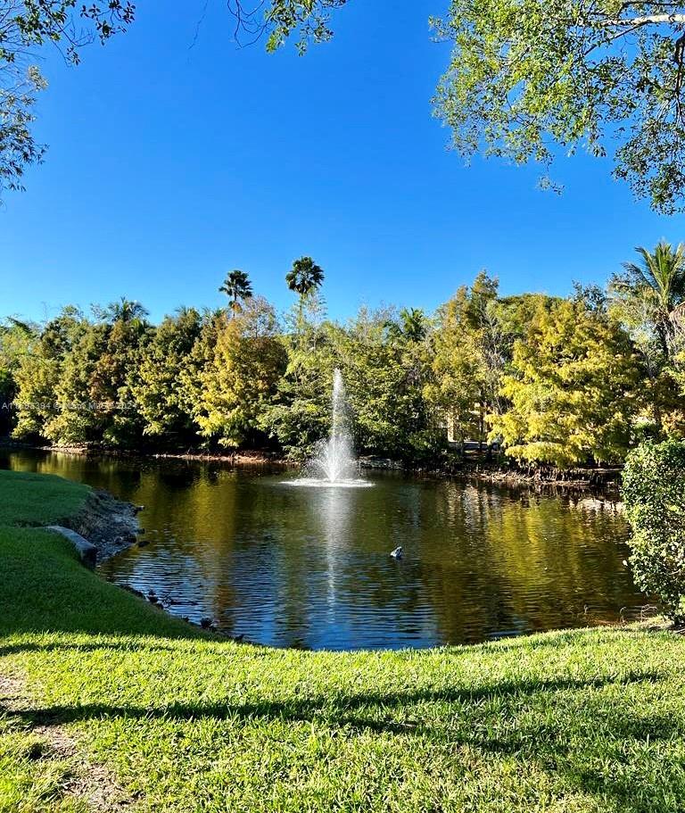 721 North Pine Island Road, Unit 213 Plantation, FL 33324 - Photo 8 of 11 a view of a lake with a mountain in the background