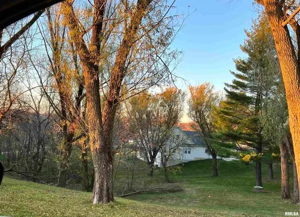 $19,999 | 130 Glenview Court, Sherrard, IL 61281