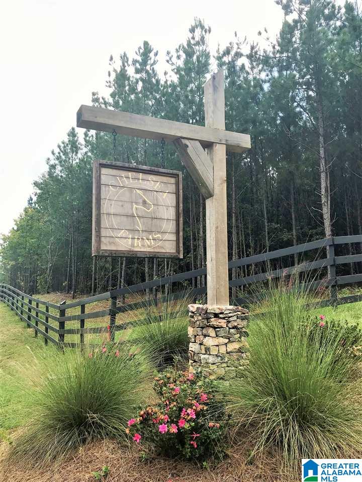 372 Highway 69 Chelsea Al, Unit 20 Chelsea, AL 35043 - Photo 5 of 6