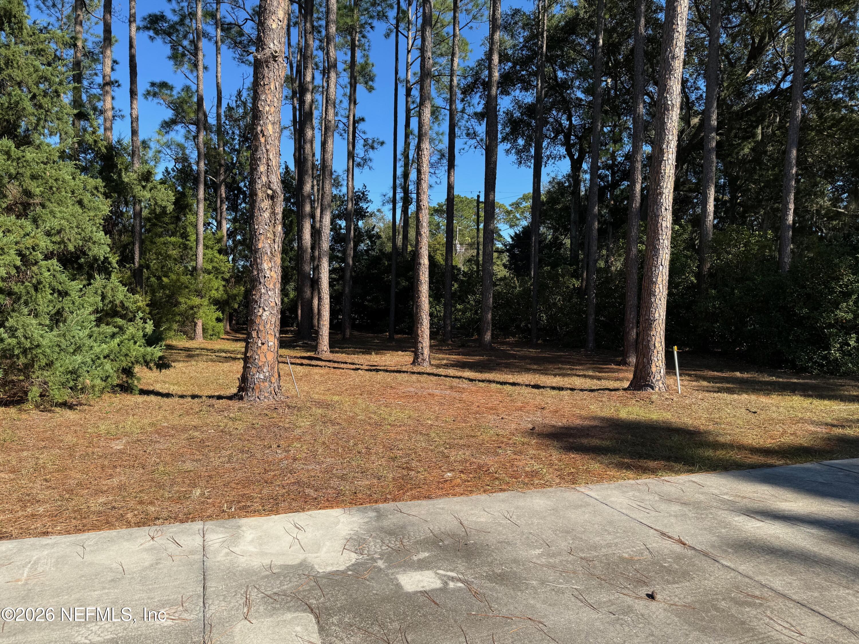 85075 Harts Road Yulee, FL 32097 - Photo 16 of 47 Grounds