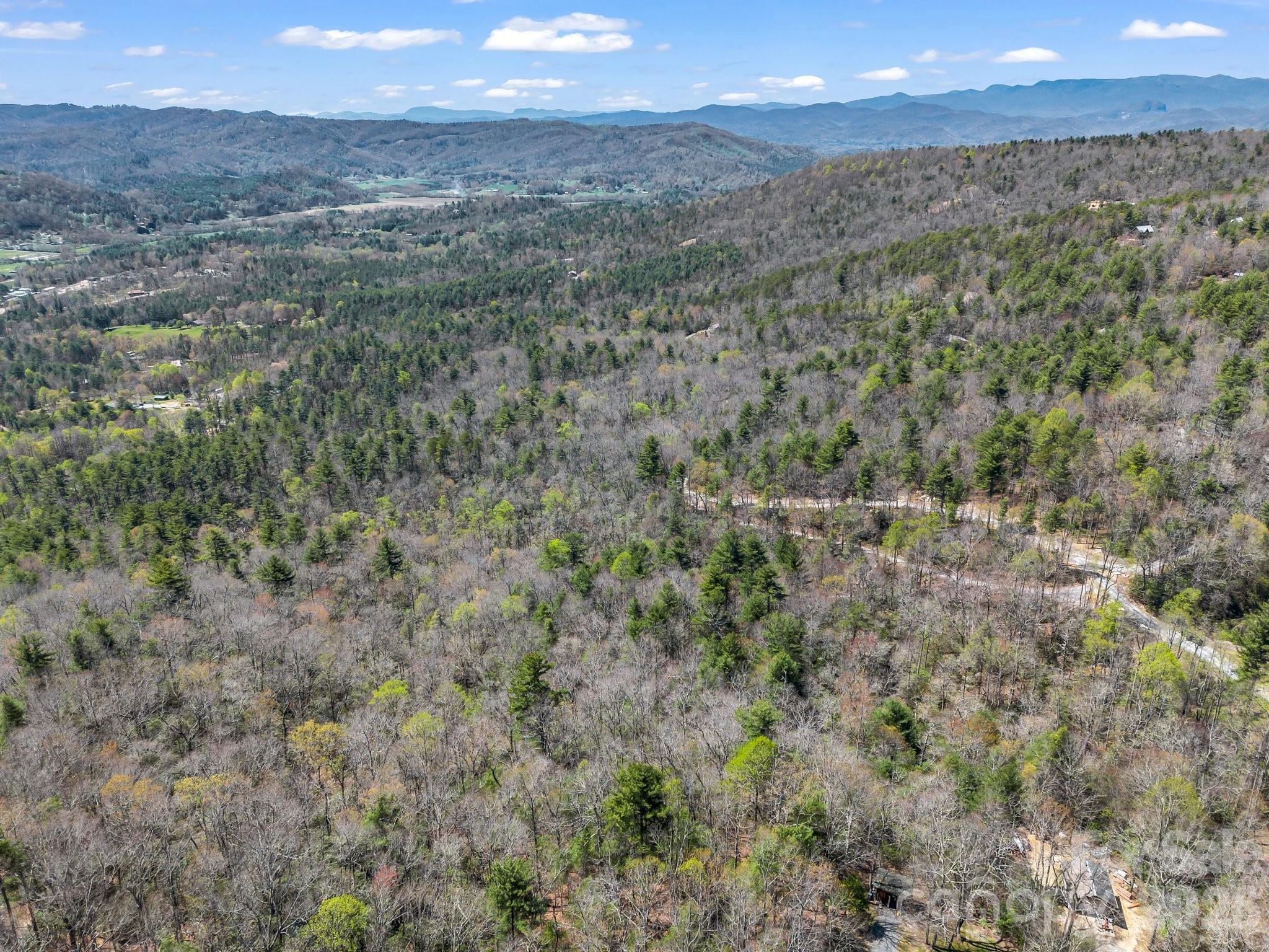 999 Bulling Creek Road Penrose, NC 28766 - Photo 18 of 37