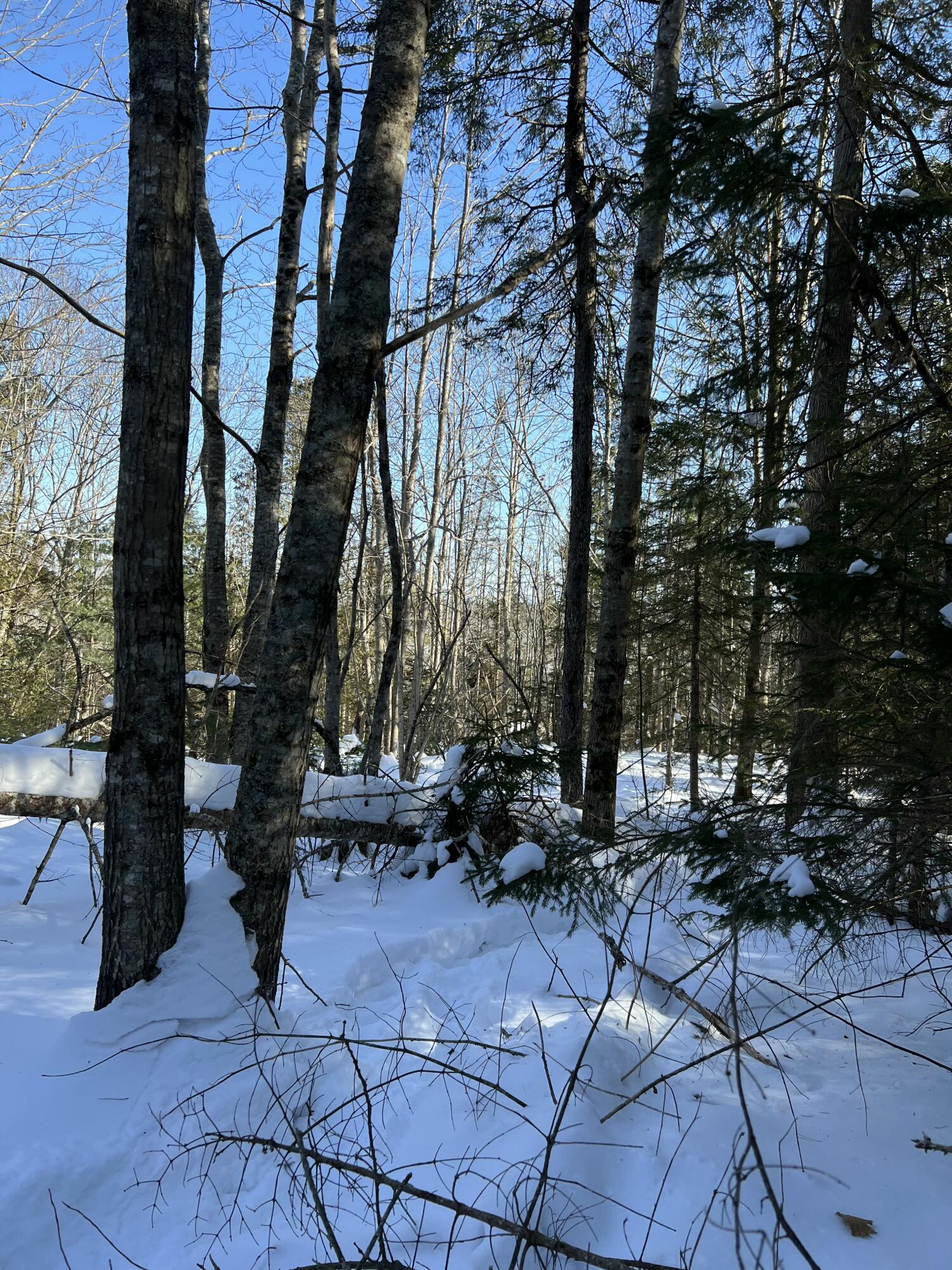 73 Ferry Road Stockton Springs, ME 04981 - Photo 11 of 14 Lot