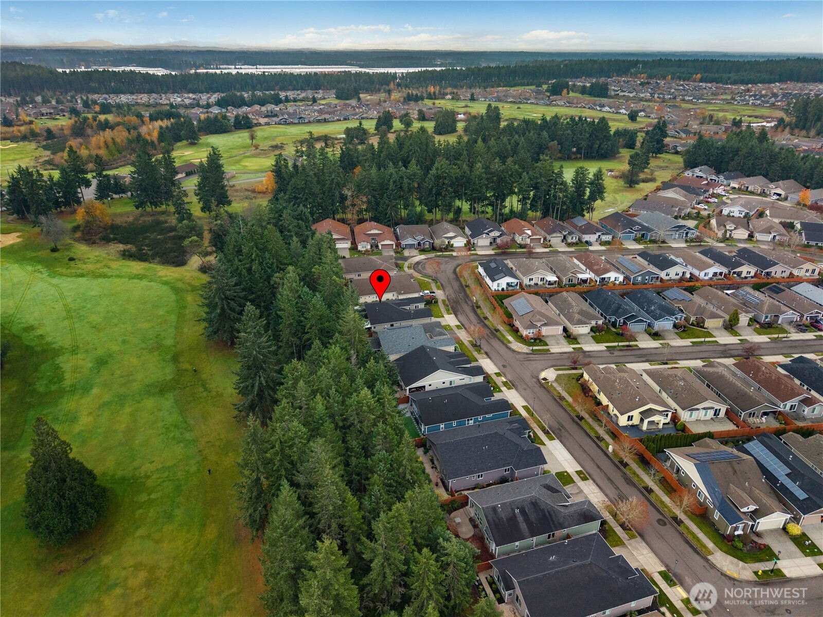 8265 Orcas Loop Northeast Lacey, WA 98516 - Photo 21 of 39 a view of a city