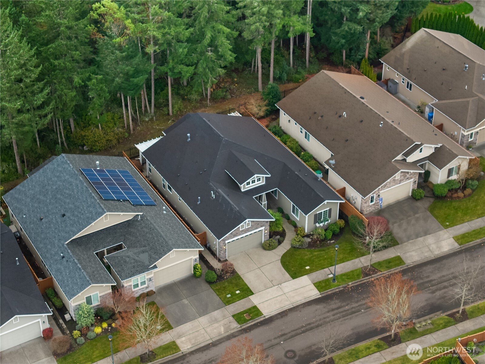 8265 Orcas Loop Northeast Lacey, WA 98516 - Photo 38 of 39 an aerial view of a house with a garden