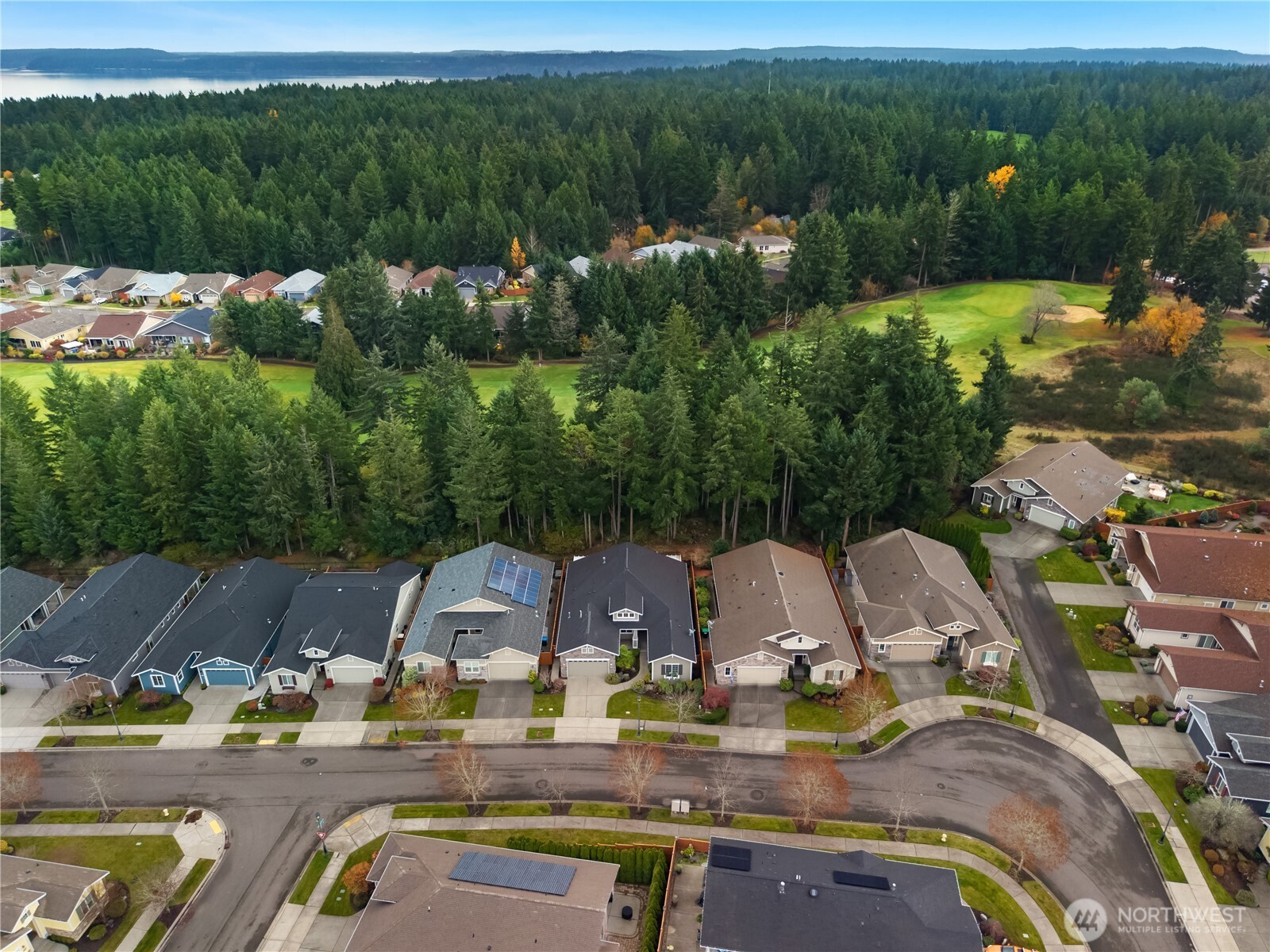 8265 Orcas Loop Northeast Lacey, WA 98516 - Photo 39 of 39 an aerial view of a house with lake view