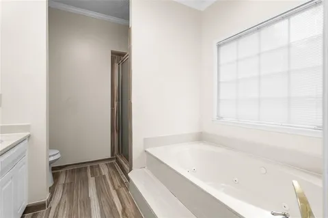 a bathroom with a bathtub and a toilet