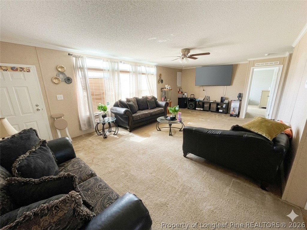 29 Character Court Bunnlevel, NC 28323 - Photo 2 of 14 Living Room - Picture has been virtually edited for lighting