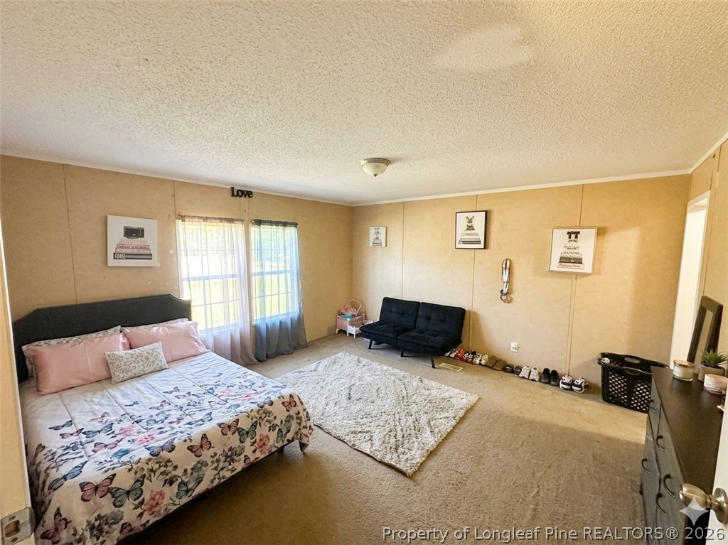 29 Character Court Bunnlevel, NC 28323 - Photo 7 of 14 Secondary Bedroom - Picture has been virtually edited for lighting