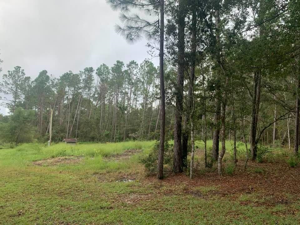 26348 Feely Road Elberta, AL 36530 - Photo 10 of 43