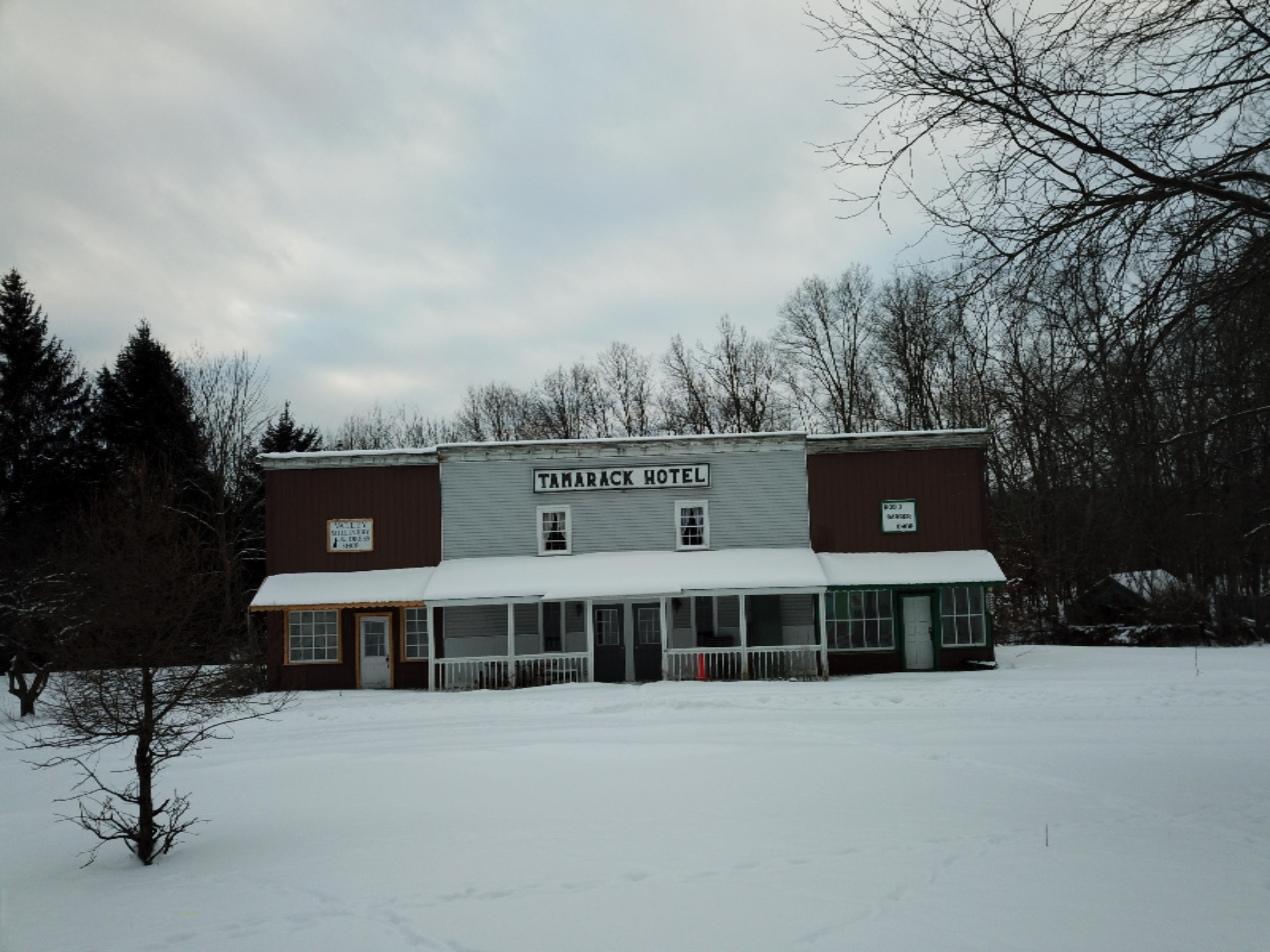 East Leinaar Road Delton, MI 49046 - Photo 29 of 41 DJI_0038