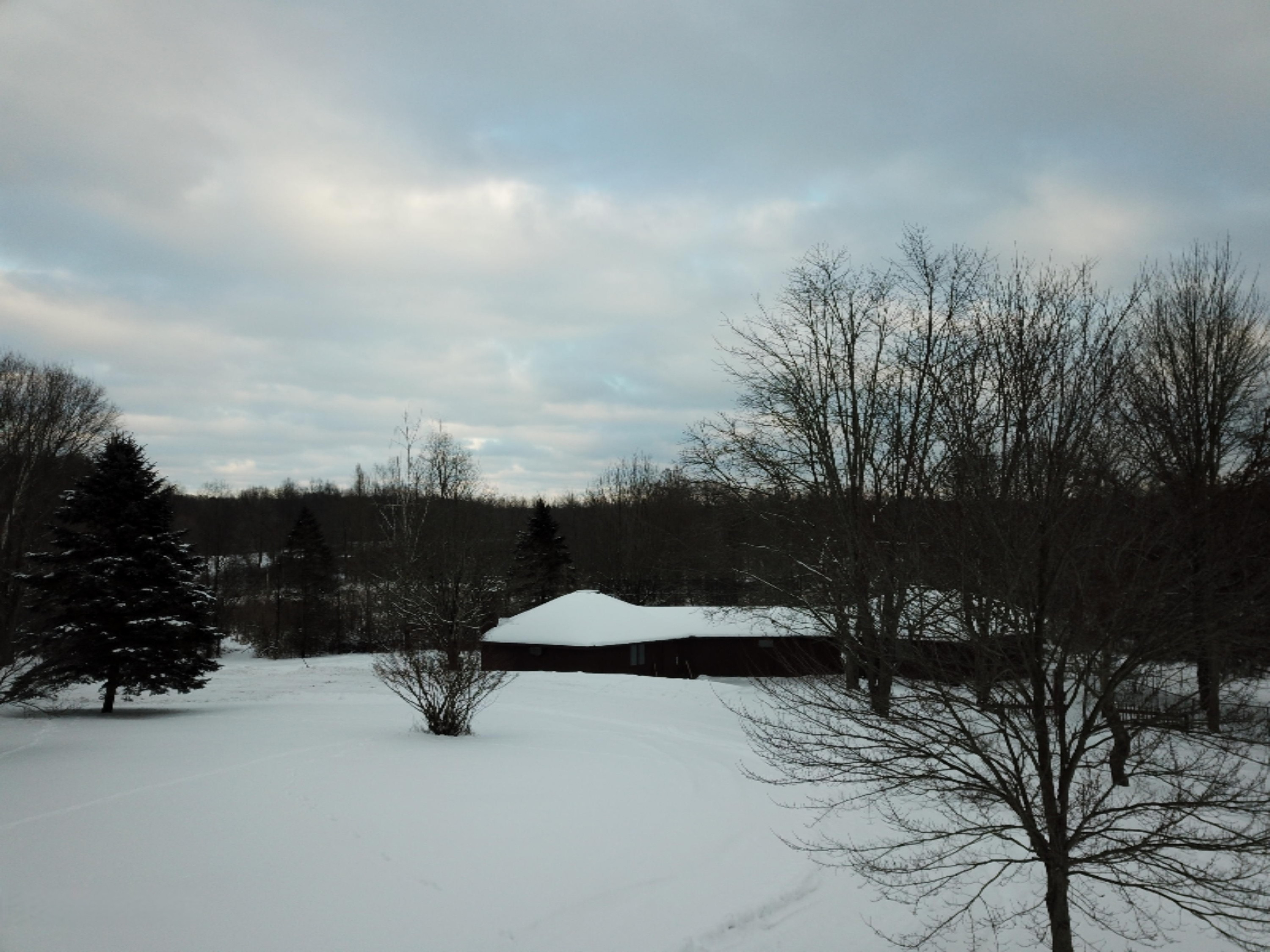 East Leinaar Road Delton, MI 49046 - Photo 33 of 41 DJI_0042