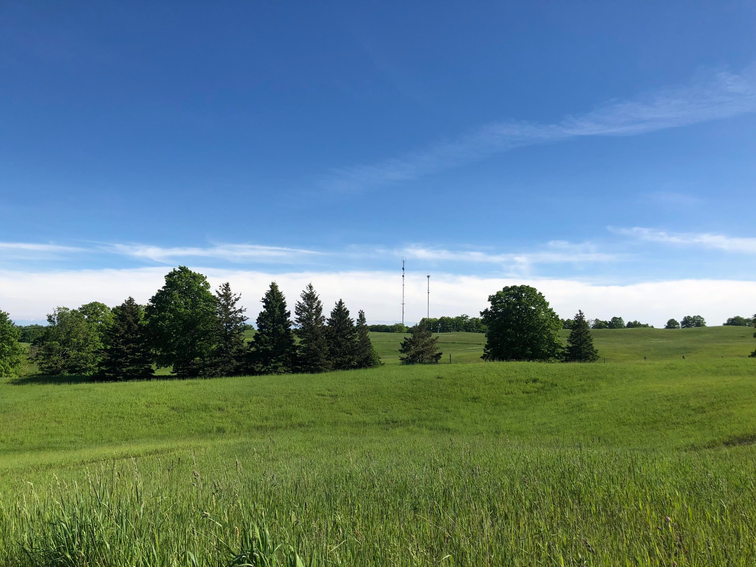 Congdon Road Gaylord, MI 49735 - Photo 15 of 31 Gallery Image 15