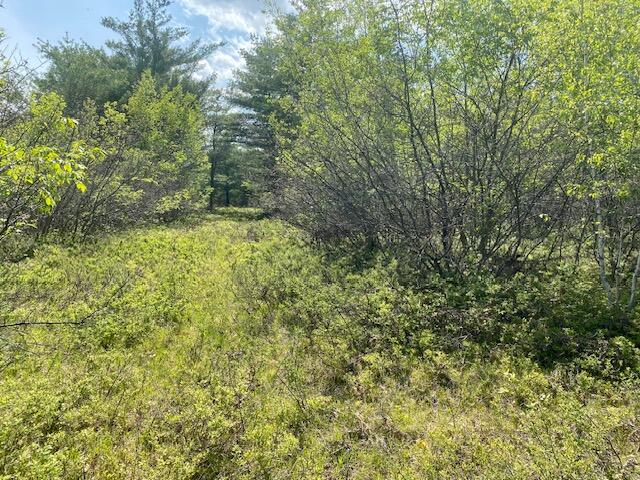 730 Notch Road Hiram, ME 04041 - Photo 47 of 52 IMG_7830