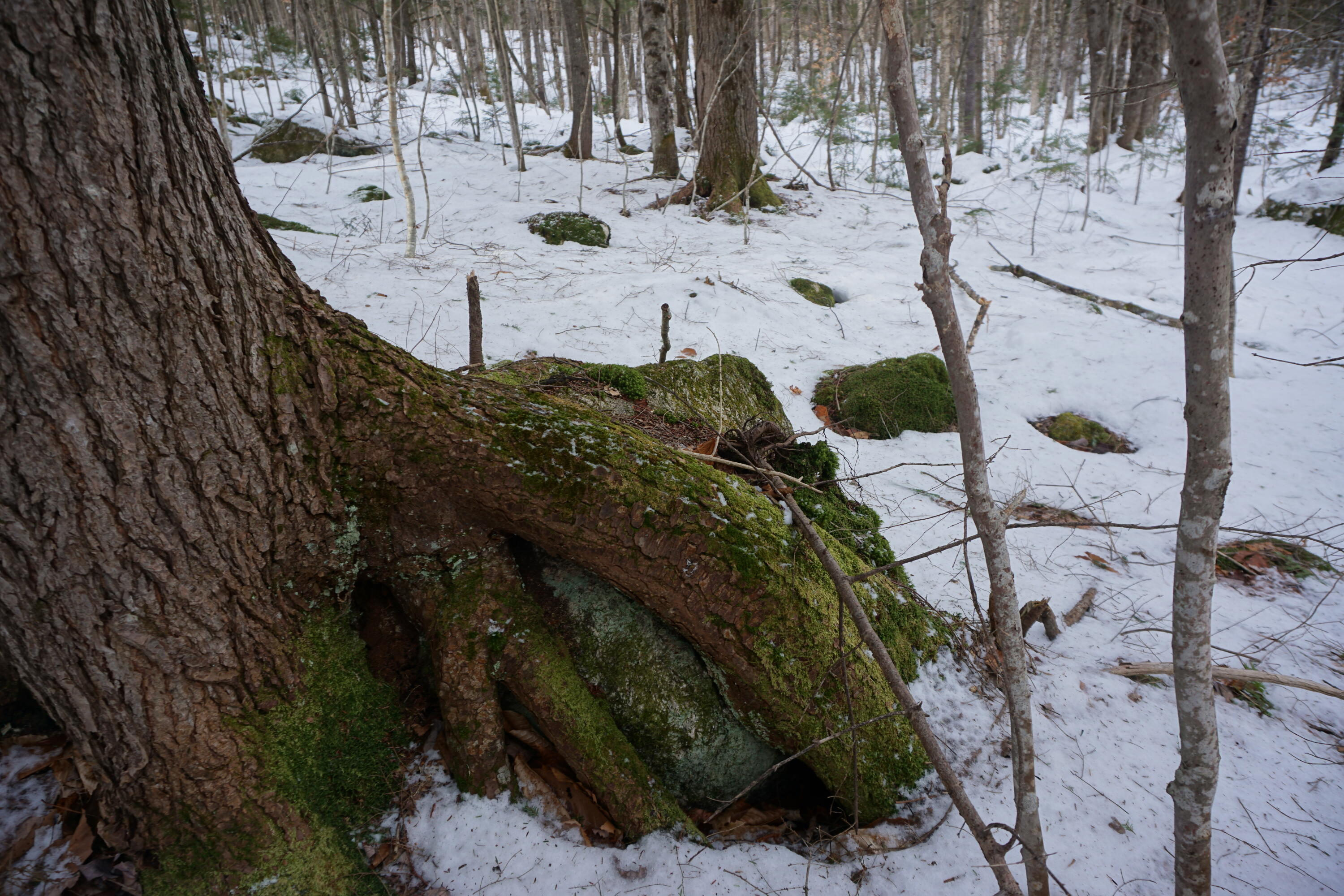 M13-l18a-2 Redding Road Bryant Pond, ME 04219 - Photo 23 of 29 DSC04792