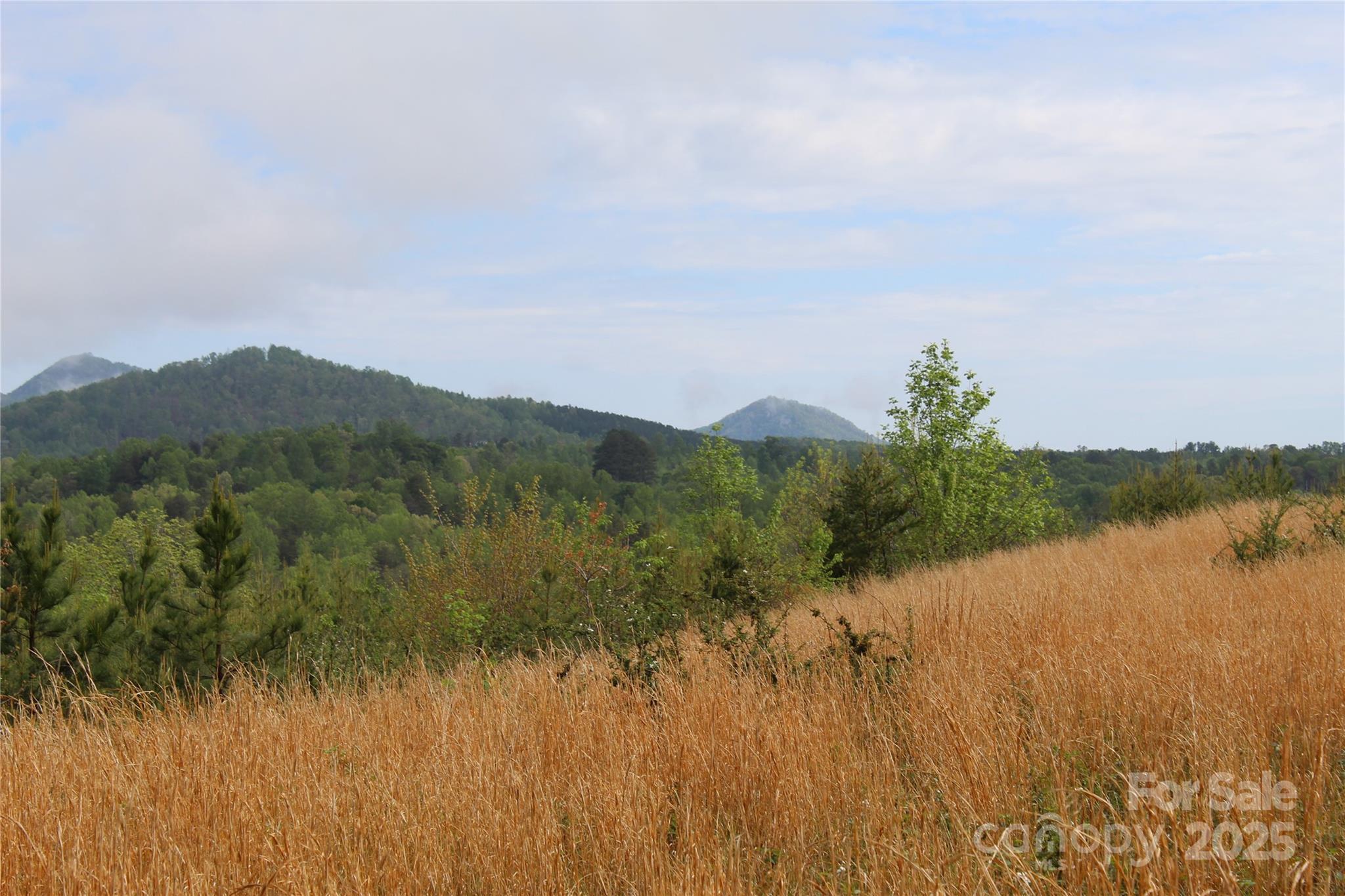 332 Parris Road Rutherfordton, NC 28139 - Photo 1 of 26