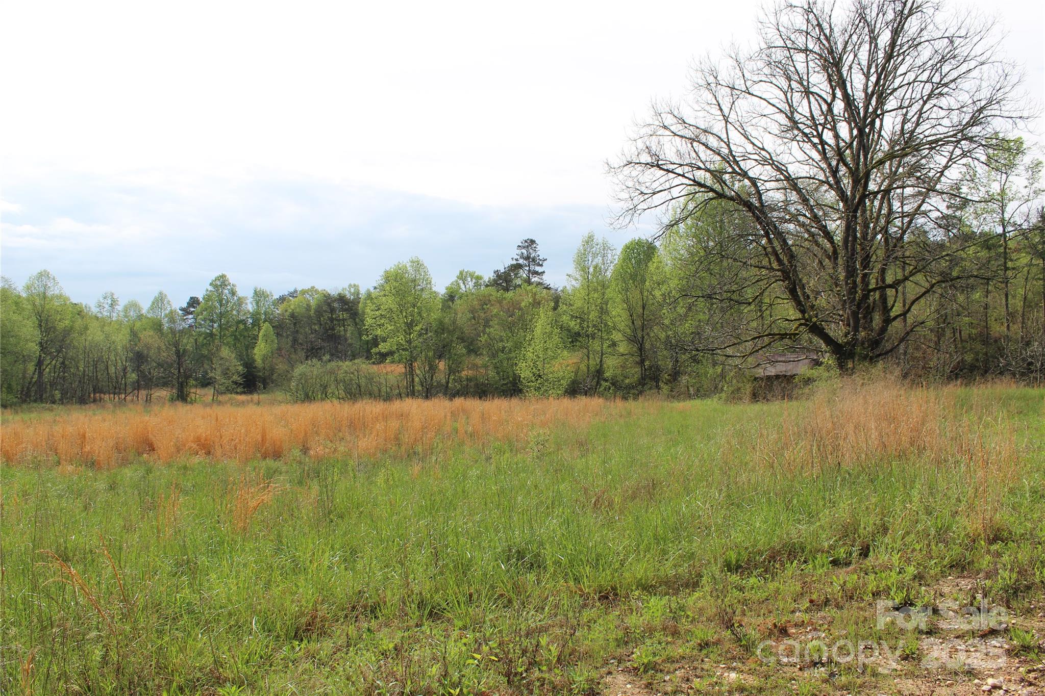 332 Parris Road Rutherfordton, NC 28139 - Photo 5 of 26