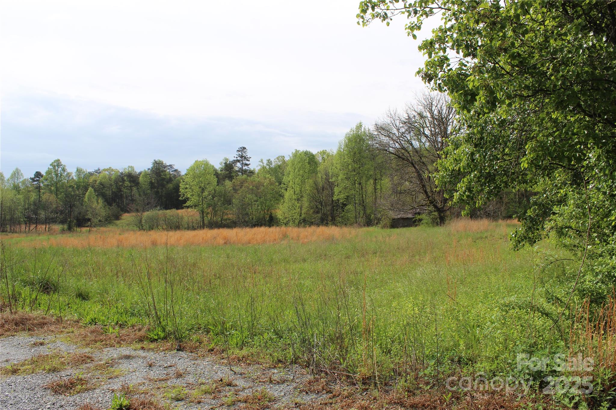 332 Parris Road Rutherfordton, NC 28139 - Photo 7 of 26