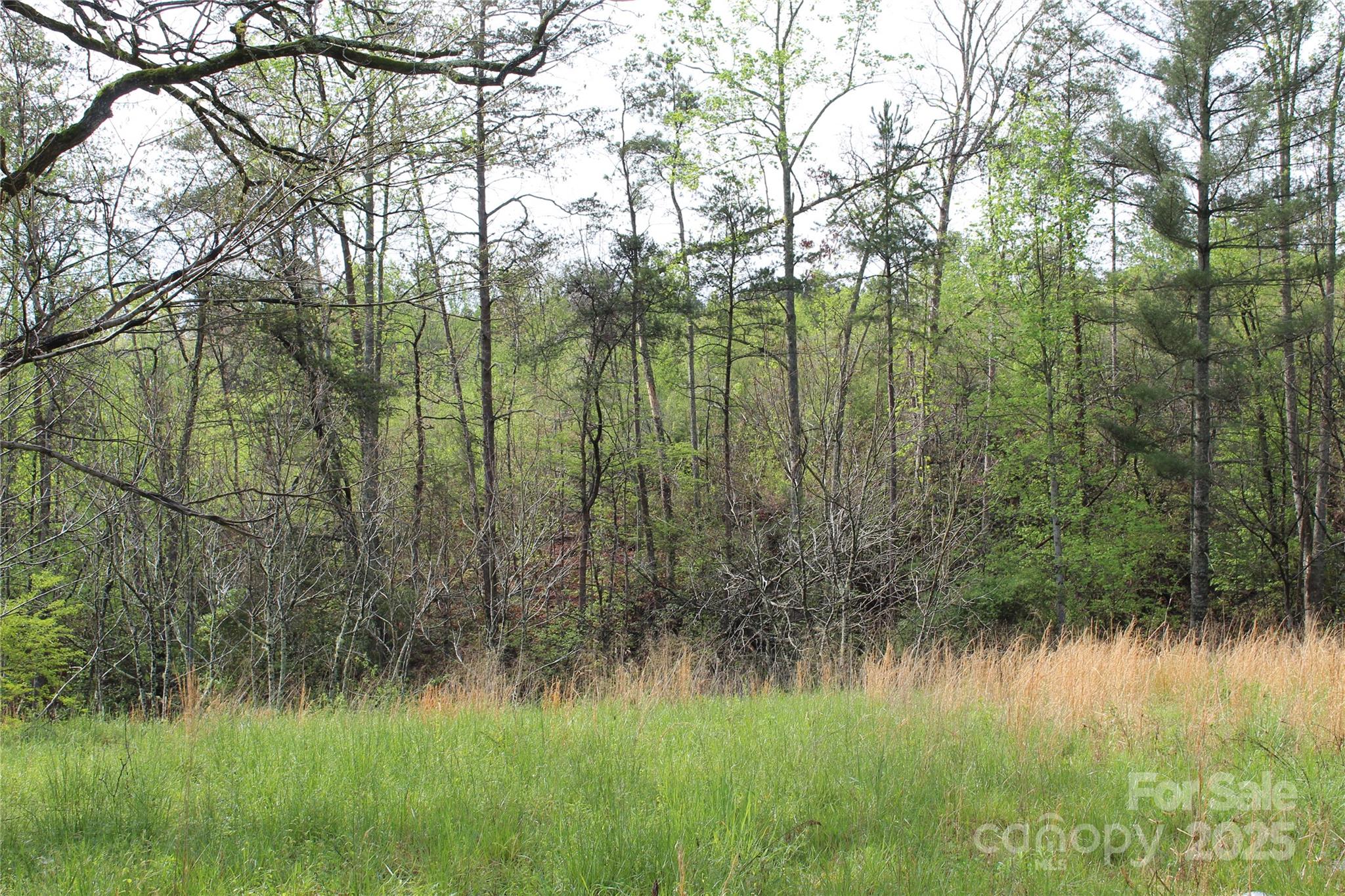 332 Parris Road Rutherfordton, NC 28139 - Photo 8 of 26
