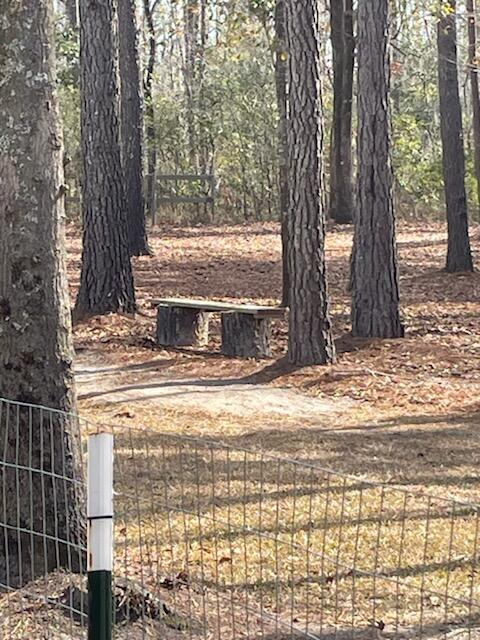 5976 Pleasant Grove Road Walterboro, SC 29488 - Photo 29 of 35