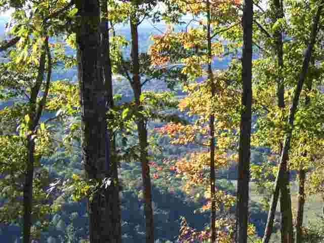 5-ac Highlander Road Grandview, TN 37337 - Photo 15 of 34 5