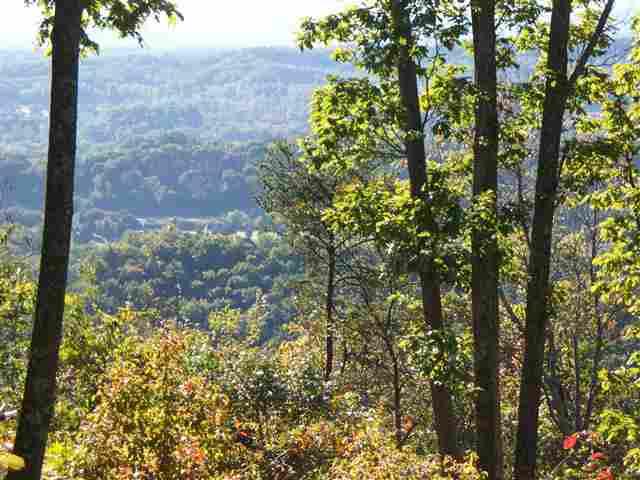 5-ac Highlander Road Grandview, TN 37337 - Photo 16 of 34 4