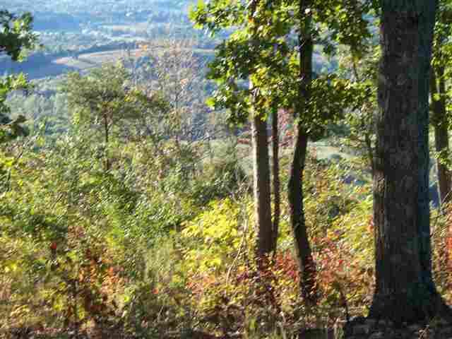 5-ac Highlander Road Grandview, TN 37337 - Photo 21 of 34 8