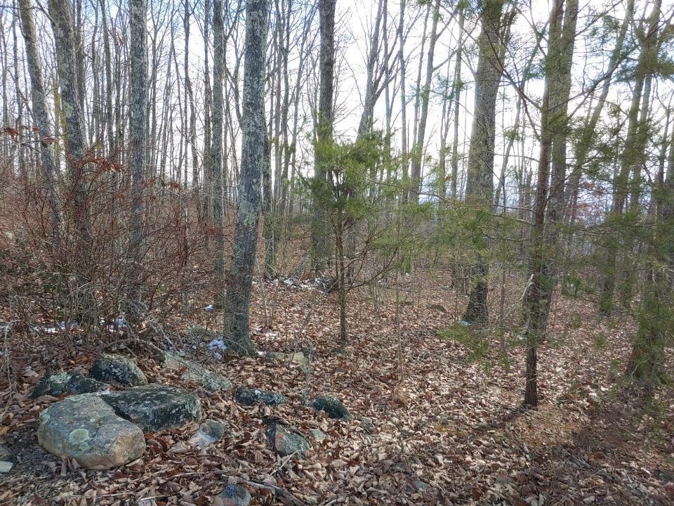 5-ac Highlander Road Grandview, TN 37337 - Photo 23 of 34 2