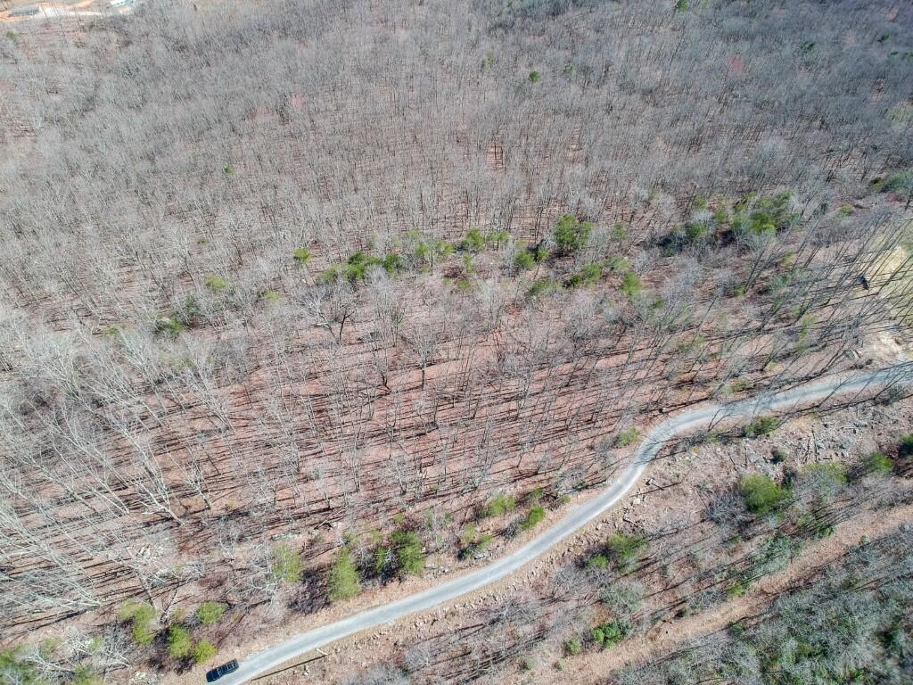 5-ac Highlander Road Grandview, TN 37337 - Photo 27 of 34 Highlander 10.1 Acres (2)