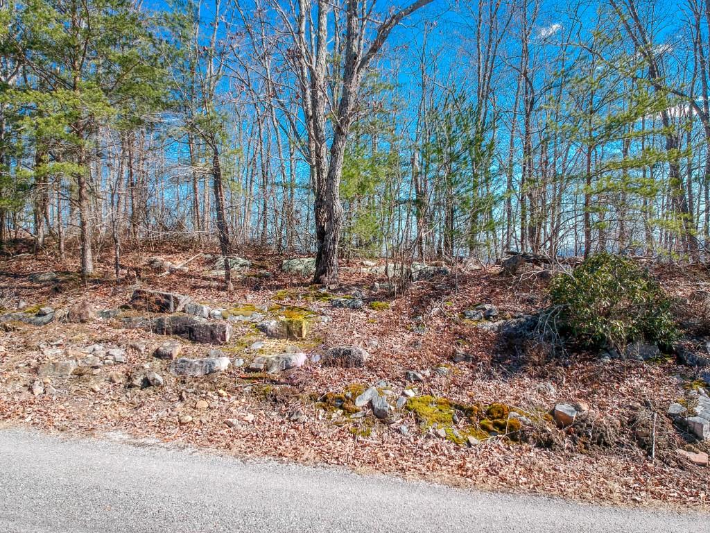 5-ac Highlander Road Grandview, TN 37337 - Photo 5 of 34 Highlander 10.1 Acres (6)