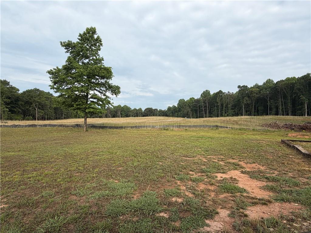 402 Renee Road Pendergrass, GA 30567 - Photo 36 of 36