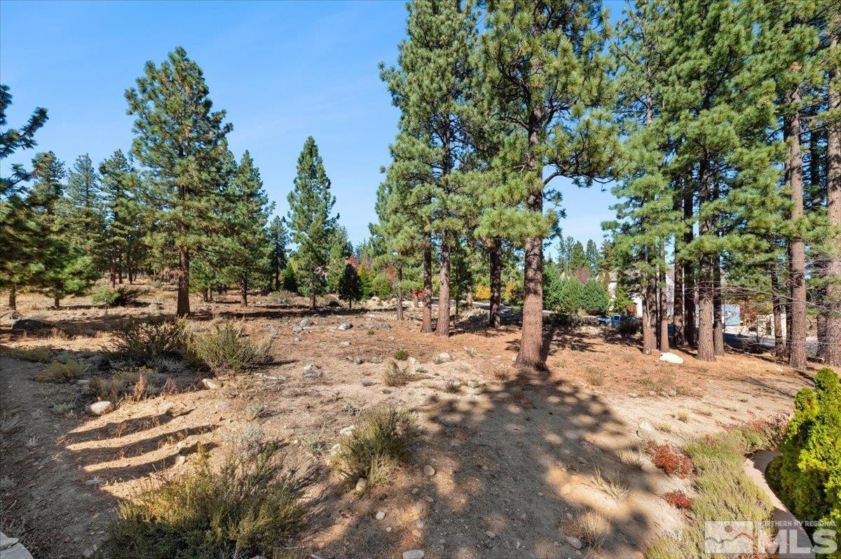 20500 Margaux Road, Unit 420S Reno, NV 89511 - Photo 10 of 11 Photo 10