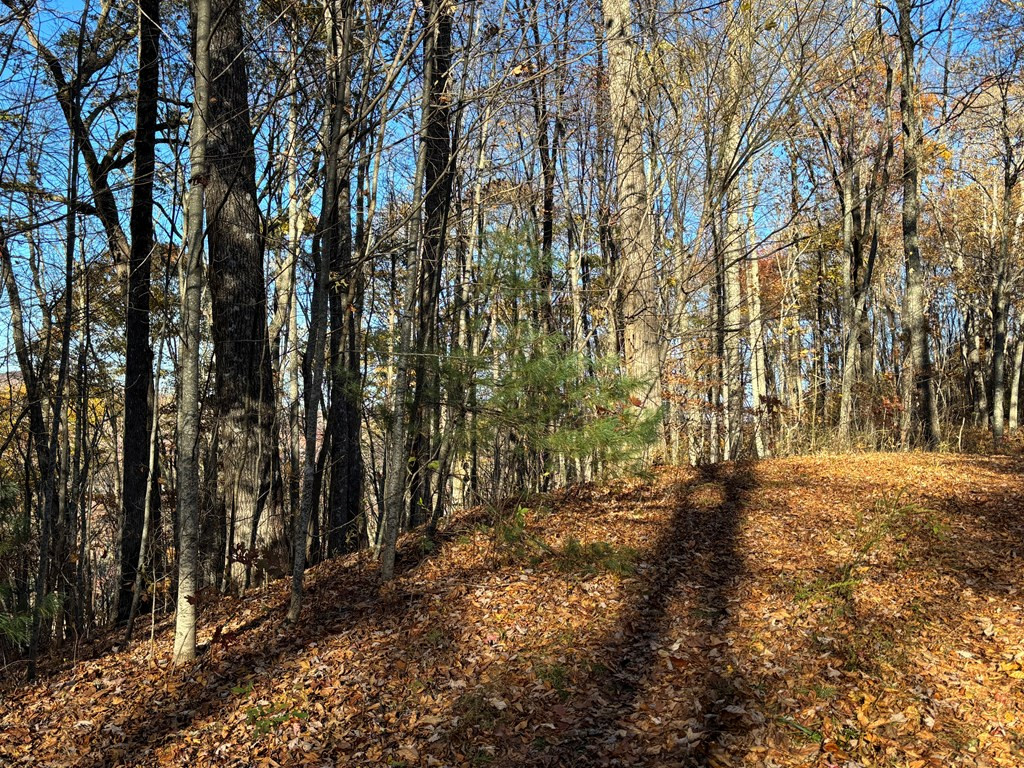 Lot#39 Falcon Stone Ridge Topton, NC 28781 - Photo 9 of 10