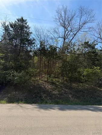$29,995 | Tbd Napoleon Drive, Bonne Terre, MO 63628