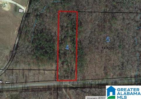 4-acres School Road, Unit 4 ACRES Ashland, AL 36251 - Photo 2 of 3